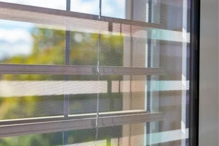 Insektenschutzgitter & Fliegengitter, Schreinerei Schneider, Aarau - Aargau
