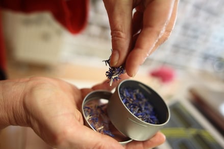 anschauen, riechen, anfassen, probieren