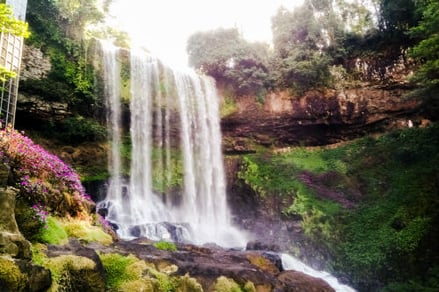 Dаmbrі in Dalat wаtеrfаll in vietnam
