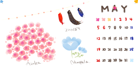 つつじにネモフィラ・・・。5月のように多種多様な花が咲き乱れる「令和」になりますように！