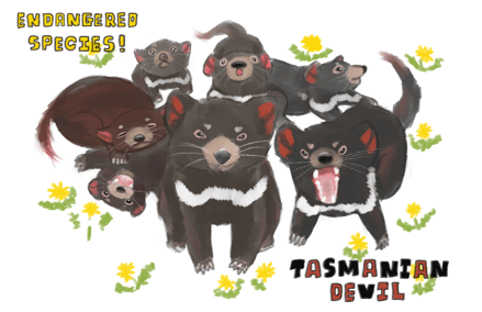 ❝悪魔❞にも今の地球は住みずらい⁉ タスマニアデビル ⓒL13