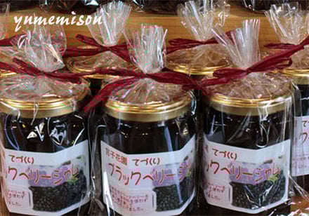 宮子花園は無農薬で育てたブラックベリーの実を、丁寧に種子を取り除き無添加でブラックベリージャムを販売しています。