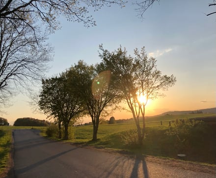 Mein Wort bleibt bestehen in Ewigkeit