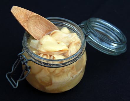 champignons lactofermentés, pleurotes