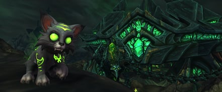 Voici le chaton Malice, la mascotte caritative 2016 pour World of Warcraft !
