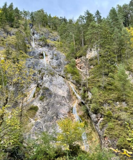 Feldwände umgeben von Bäumen.