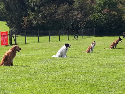 Easy - Peak - Flame - Murphy