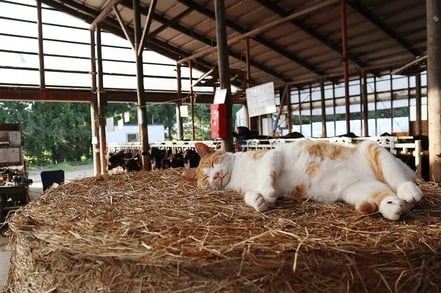 スタッフの牧場日誌