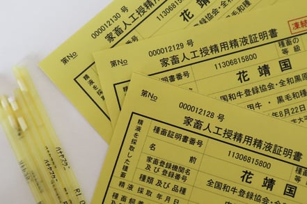 花靖国精液ストロー