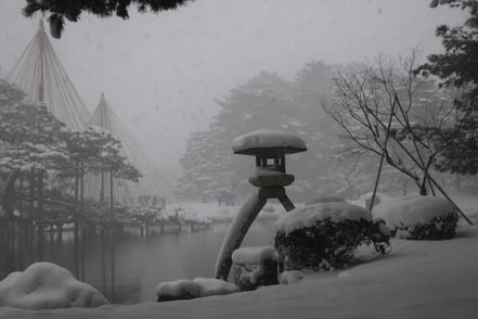 Ein Tablett mit edlen rohen Fleischstücken, Saucen sowie Salat und Reise als Beilage