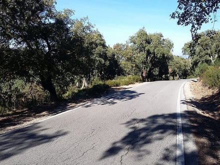 Straße auf der Rundreise Andalusien mit Korkeichen am Wegesrand
