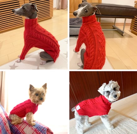 MYA. 手編みの犬用ニット　セミオーダー相談会