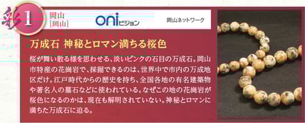 ケーブルテレビ万成石