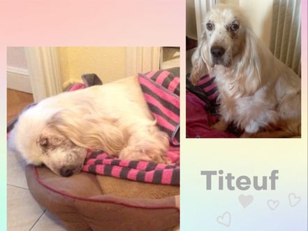 TITEUF décédé en Mars 2019