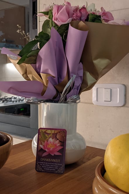 Dankbarkeit: Home Sweet Home fürs erste !