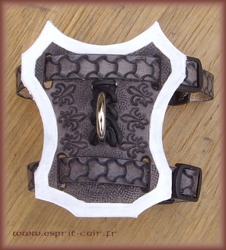 Harnais pour furet Caféine