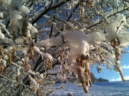 20 Schritte in die Klarheit