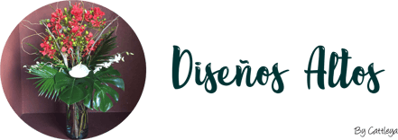 Da clic en esta imagen para Acceder