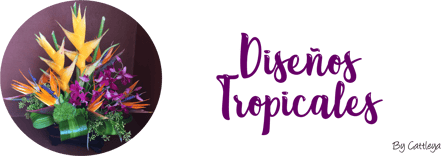 Da clic en esta imagen para Acceder.