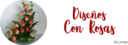 Da clic en esta imagen para Acceder.