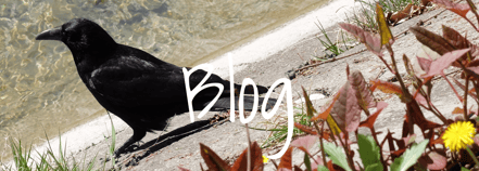 Blog Kommunikationsberatung Bern Ronny Kummer Text