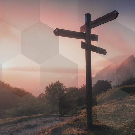 Wegweiser im Abendlicht als Sinnbild für Neuorientierung im Coachingprozess