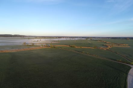 Das Wiesmet am Altmühlsee ist eines der bedeutensten Wiesenbrütergebiete im süddeutschen Raum.