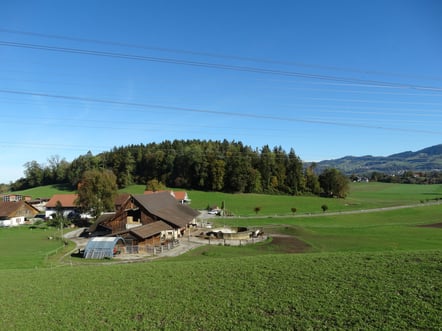 (Bild. buebikernews)