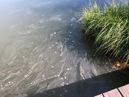 Oft lädt der Egelsee tatsächlich nicht zum Bade... (Bild: buebikernews)