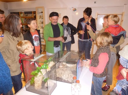 Faszinierende Spinnen in der LBV Umweltstation Aschaffenburg