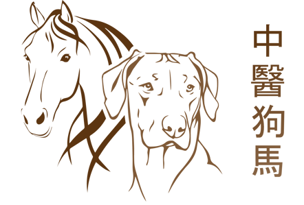 komplementäres Gesundheitszentrum für Hunde