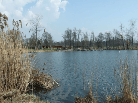 (Bild: buebikernews)