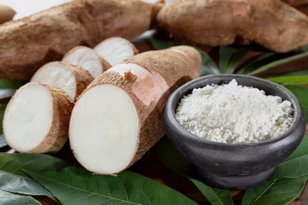 yuca, alimentación saludable, sin gluten, vago, farinha, harina de yuca, espesante de salsa, restaurante brasil, viajes a brasil, recife, brasil