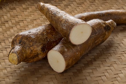yuca, sin gluten, vegano, superalimento, brasil, alimento básico, vitamina a, carbohidratos, nutrición mundial, recetas de yuca, info de brasil