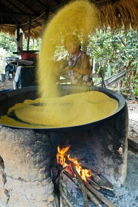 cassava mill, casa de farinha, roastery, roasting oven, indians, indigenous people, brazil, amazon, staple food, agriculture, visit brazil