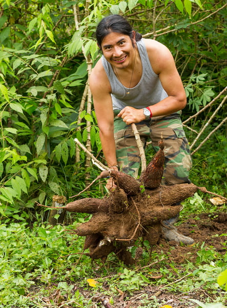 olinda, alto da sé, kirche da sé, kathedrale von são salvador do mundo, barockstadt, künstlerstadt, brasilien, skyline recife, meer, stadtrundfahrt, brasilienreise