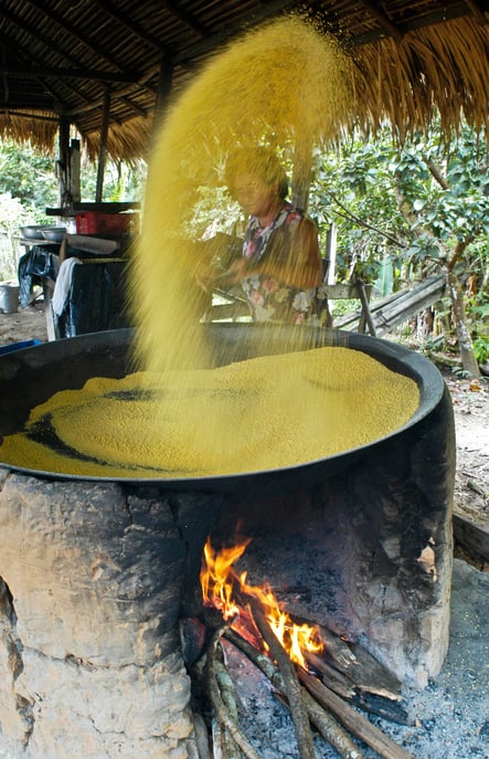 moinho de mandioca, casa de farinha, assadeira, forno de assar, índios, nativos, brasil, amazônia, alimento básico, agricultura, visitar o brasil