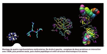 Image UPMC - Sorbonne Universités