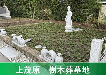 上茂原樹木葬
