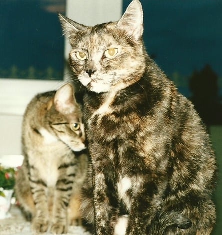 ... auch lange her ... Grizzy und Tilly 