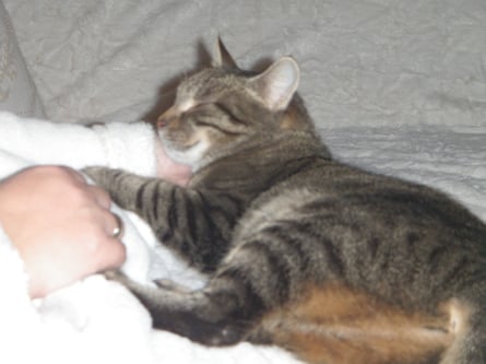 Schmusen mit Mama :o)