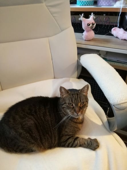 Holly hilft beim Nähen und Basteln der Eulen ... :-)