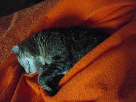 Das war meine süße Grizzy ... ich liebe sie immer noch!!!