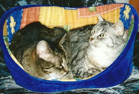 ... das ist lange her ... Grizzy und Sissy (unvergessen)