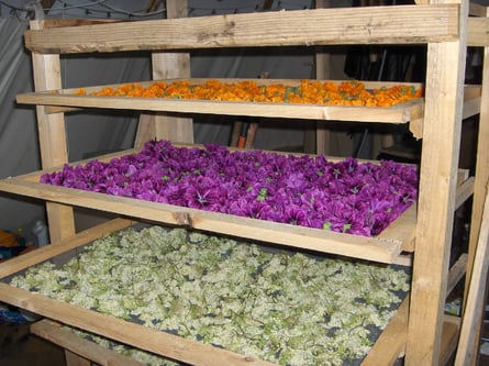 Claies de séchage traditionnelles