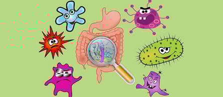 Mikrobiom / Diagnostik / individuelle Therapie