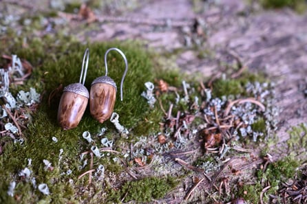 Pflanzen Kollektion bekomme ich die Formgebung von der Natur geschenkt, Samenstände welche mit Holz kombiniert sind. durch die Technik der verlorenen Form verwende ich neue Pflanzenteile so entsteht ein Einzelstück in der Werkstatt in Schaffhausen. Eichel