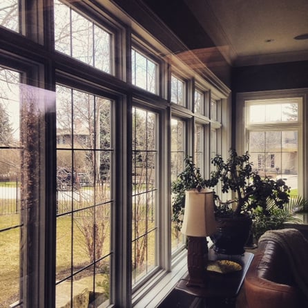 window cleaning, Oakville, Top rated local company, expert window washing, your local window cleaner