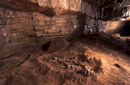 Osera, Neo Cueva de Altamira