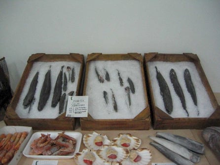 Ficticios de Cajas de Merluza (tipo lonja) , para Museo del Mar